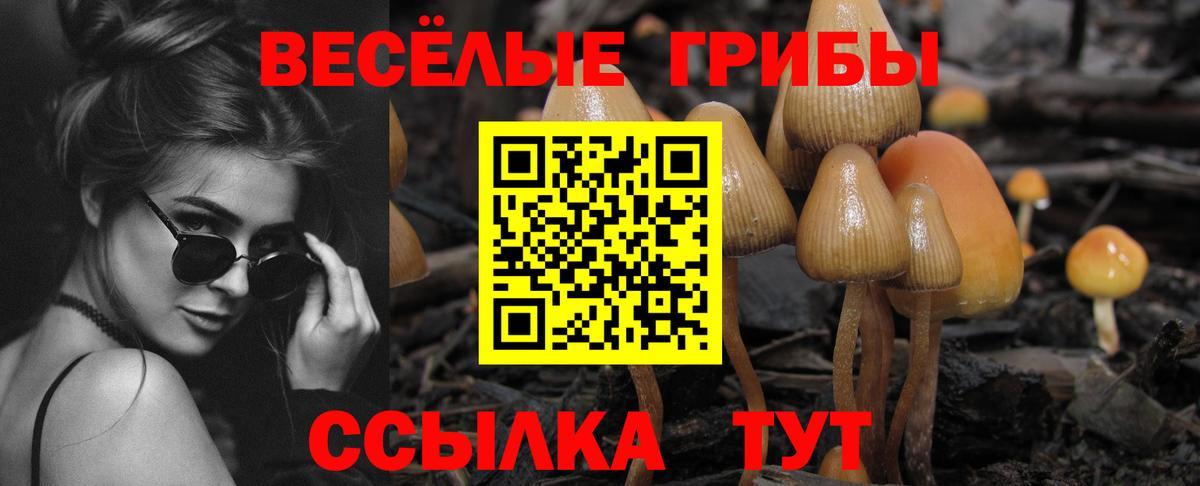Псилоцибиновые грибы мухоморы Ухта