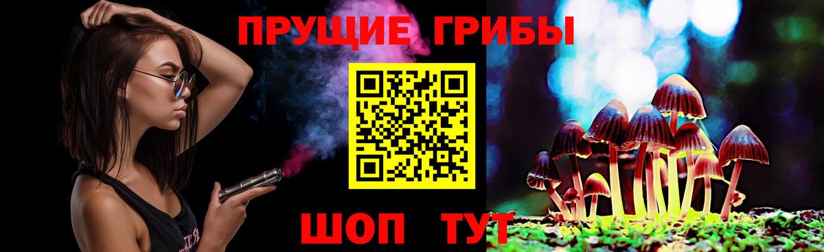 Ухта  Галлюциногенные грибы Psilocybine cubensis  Вход с VPN 